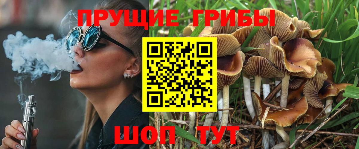 Псилоцибиновые грибы Psilocybe  Вход с VPN  Нальчик 